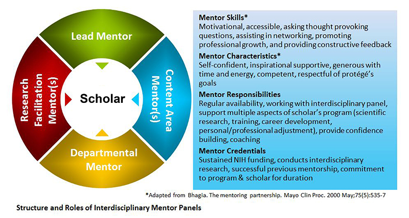 Mentoring Programs And Development Towards Career Goals
