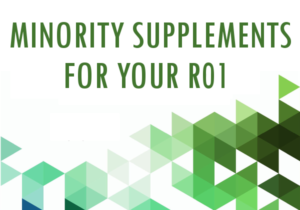 NIH Diversity/Minority Supplements for Your R01
