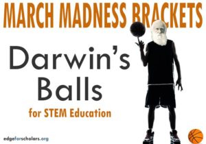Darwins' Balls Update!