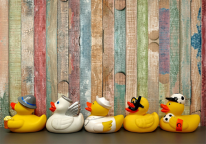 Getting Your Ducks in a Row for that First Big Grant Submission