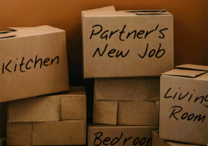 The Partner Hire Scorecard: A Tool for Academic Couples